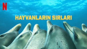 Hayvanların Sırları (2022)